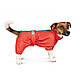 Дощовик Pet Fashion «Rain» для такс, розмір XS, червоний (*), фото 2
