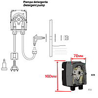 Насос дозатор перистальтичний Bram XCR-DET (Італія) 0-3.2 л/год 230V з регулюванням для миючого засобу (універсальний), фото 4