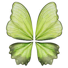 Калька листова 004 метелик травʼяний (1шт)