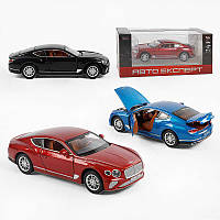 Машина TX 41120 (48/2) "Авто Експерт", 3 види, металопластик, масштаб 1:22, світло, звук, інерція, відчиняються двері, багажник та