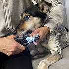 Кігтеріз для стриження кігтів у кішок і собак Purlov 24739 з підсвіткою, фото 9