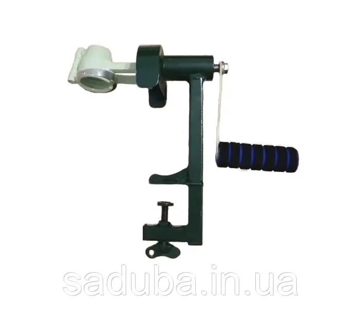 Горіхокол Волоський Конусний