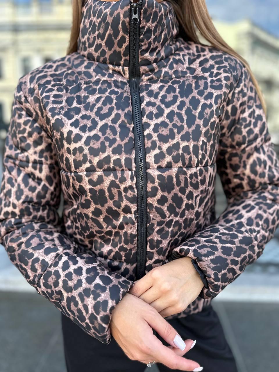 Жіноча трендова куртка у принті лео утеплювач лео (Норма), фото 1