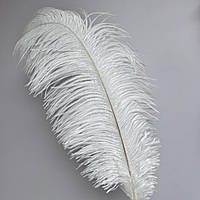 Перо страуса LUX , колір білий, розмір ~55-60см*1 шт.