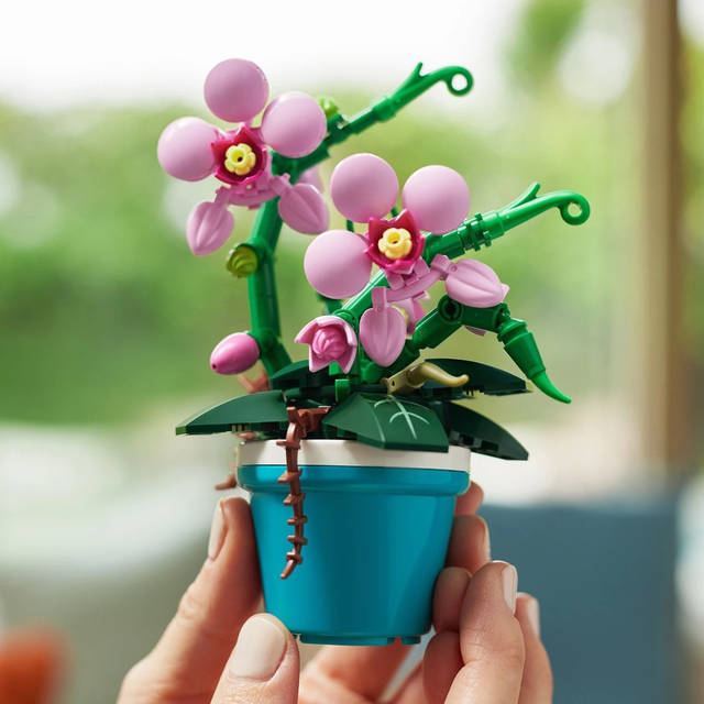 うさ爺 オリジナル鉢 3.5号 4色セット unnamed__1_.jpg?fit=max