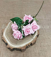 Гілка троянди дрібної кущової гостролистої. 50см. Рожева