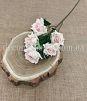 Гілка троянди дрібної кущової гостролистої. 50см. Кремово - персикова