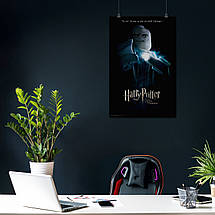 Плакат "Гаррі Поттер та Орден Фенікса, Harry Potter", 60×39см, фото 4