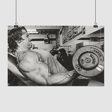Плакат "Арнольд Шварценеггер, тренування з гантелей, 1975р, Arnold Schwarzenegger", 38×60см, фото 1
