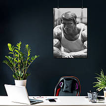 Плакат "Арнольд Шварценеггер, малюнок, репродукція, Arnold Schwarzenegger", 60×41см, фото 3