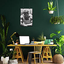 Плакат "Арнольд Шварценеггер, малюнок, репродукція, Arnold Schwarzenegger", 60×41см, фото 5