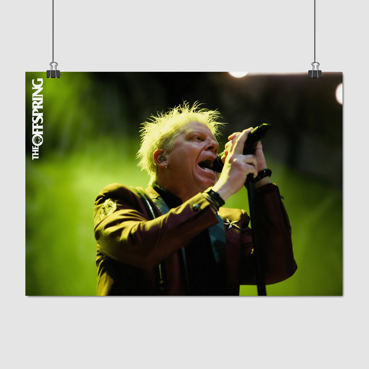 Плакат "Декстер Холланд, The Offspring", 43×60см