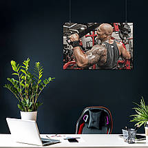 Плакат "Двейн Джонсон (Скеля), Dwayne Johnson (The Rock)", 40×60см, фото 3