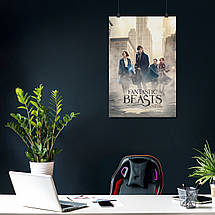 Плакат "Фантастичні звірі, Fantastic Beasts", 60×40см, фото 4