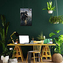 Плакат "Кінг-Конг, King Kong (2005)", 40×60см, фото 5