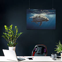 Плакат "Синій кіт у воді, big whale", 43×60см, фото 3