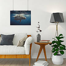 Плакат "Синій кіт у воді, big whale", 43×60см, фото 4
