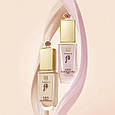 Тональна основа з перлинним та алмазним порошками The History of Whoo Cheongida SPF35/PA++ 1 ml, фото 5