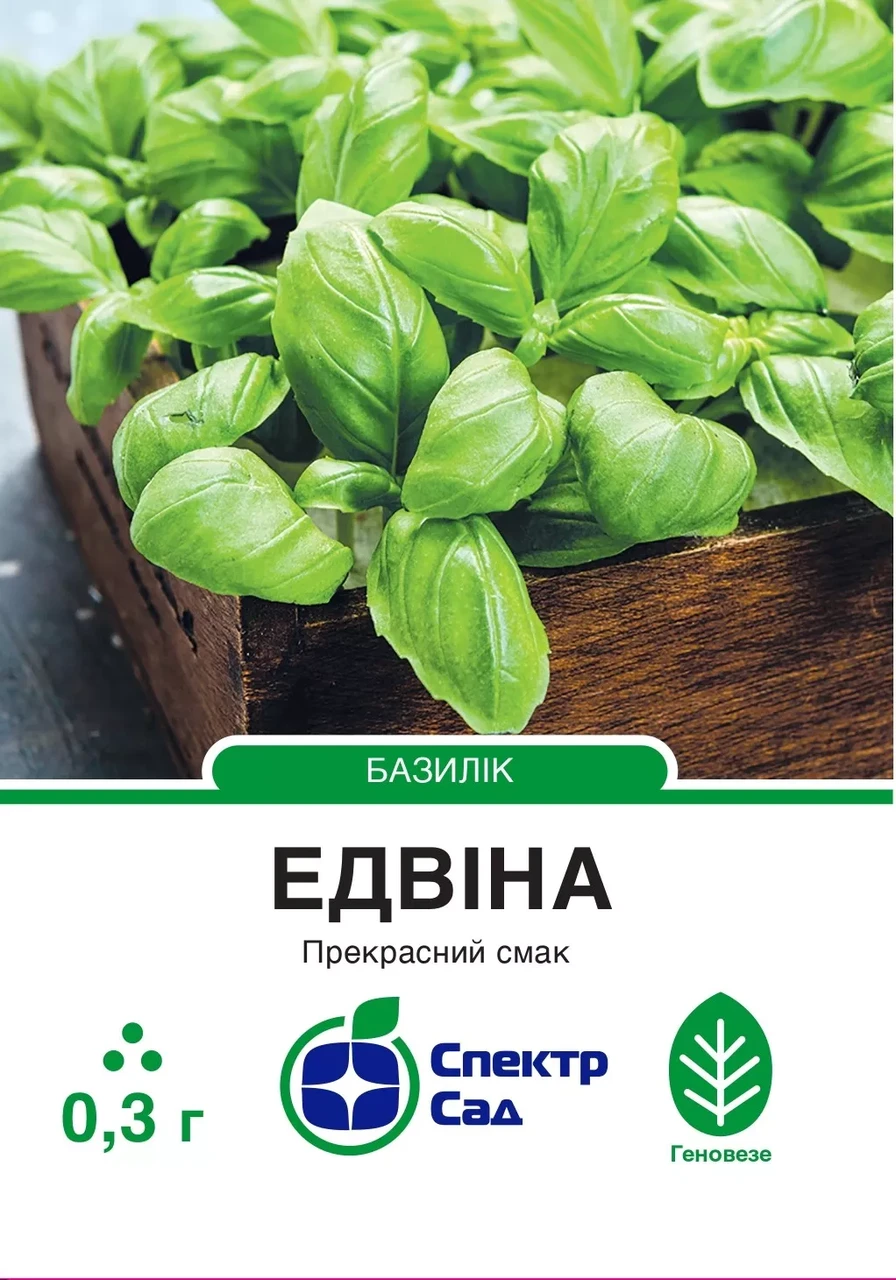 Базилік зелений Едвіна 0,3 г насіння пакетоване Спектр Сад
