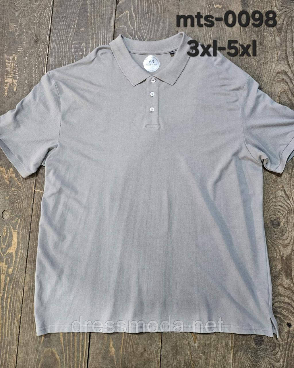 Чоловічі поло Glo-Story 3XL-5XL
