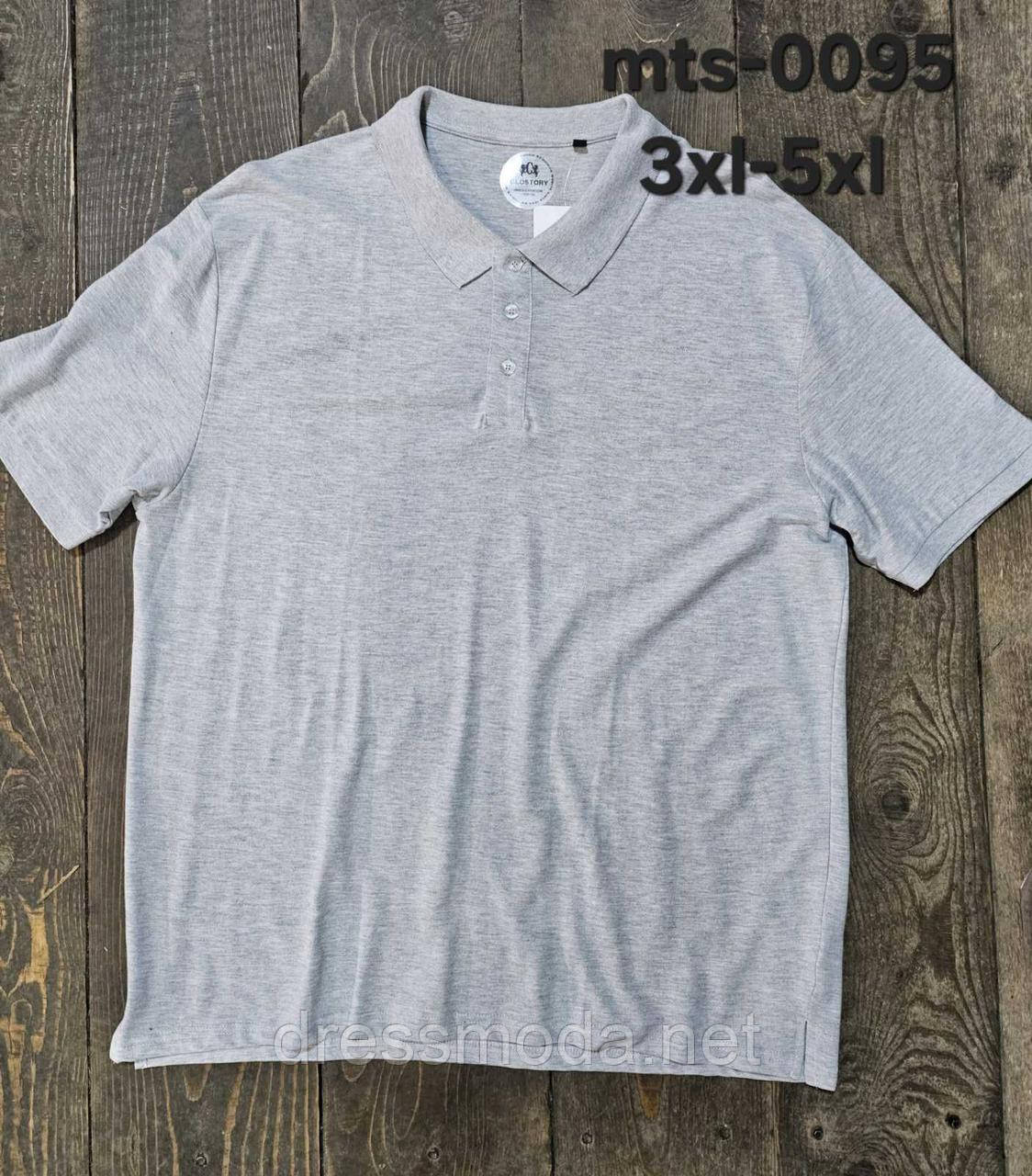 Чоловічі поло Glo-Story 3XL-5XL