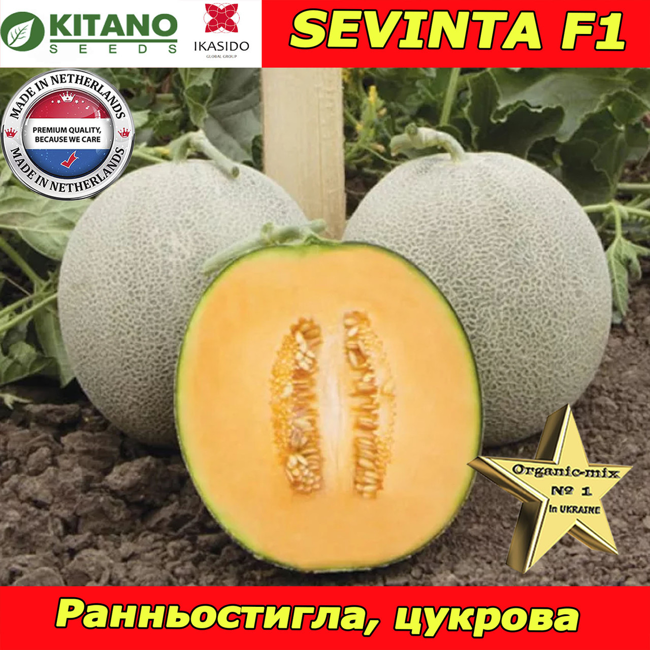 Насіння, диня Севинта F1 / Sevinta F1 (раньостигла), 1000 насінин ТМ Kitano Seeds (Нідерланди)