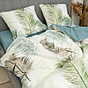 Постільна білизна Viluta ранфорс - 24339 двоспальна, фото 4