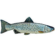 М'яка 3д іграшка велика риба, Лосось, 74 см
