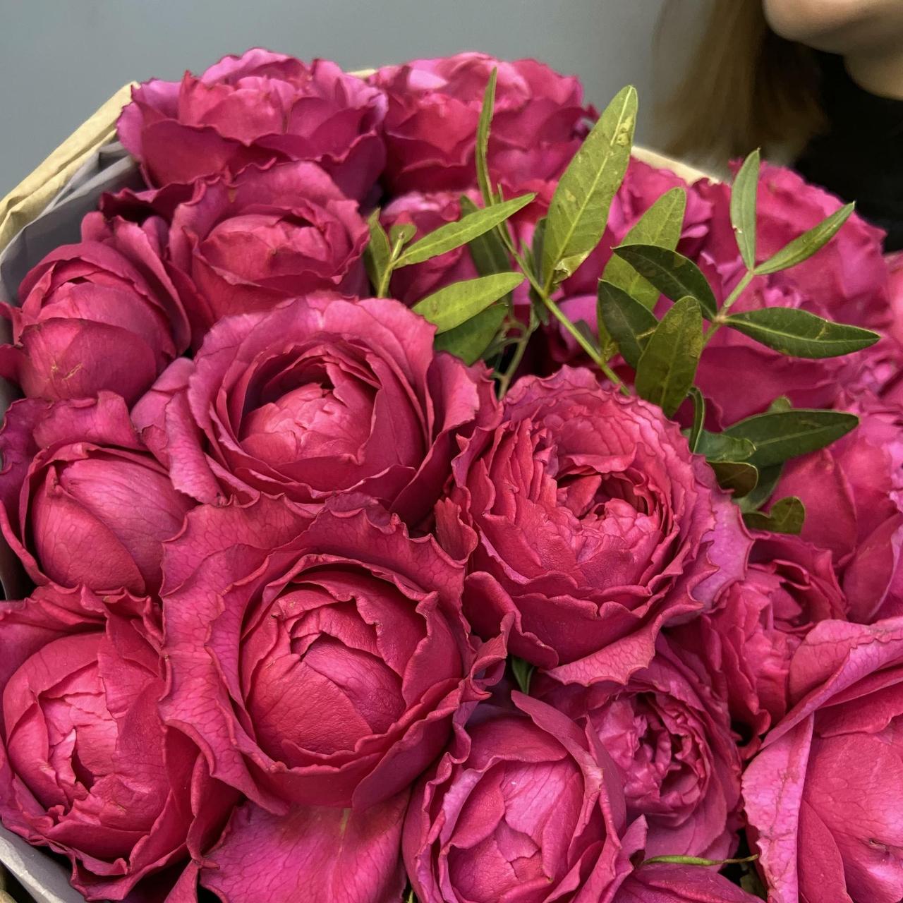 Троянда Річ Баблс, фото 1