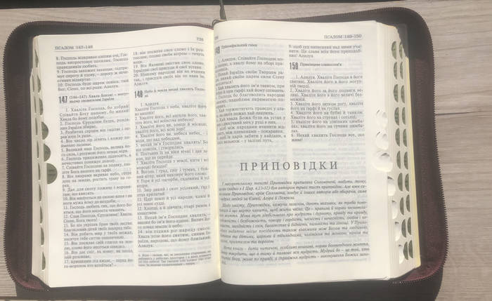 Святе письмо (шкіра), фото 3