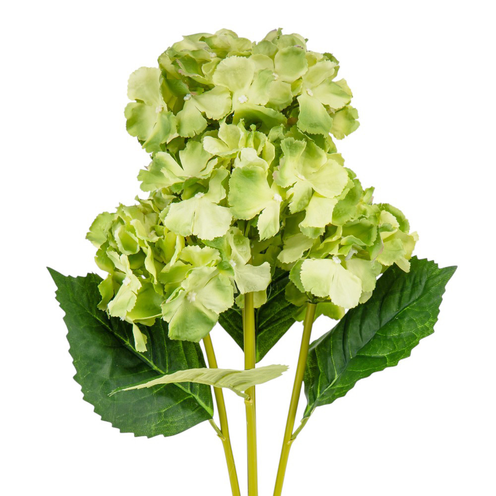 Букет гортензій, 5 бутонів, зелений, 52 см ELISEY, фото 1
