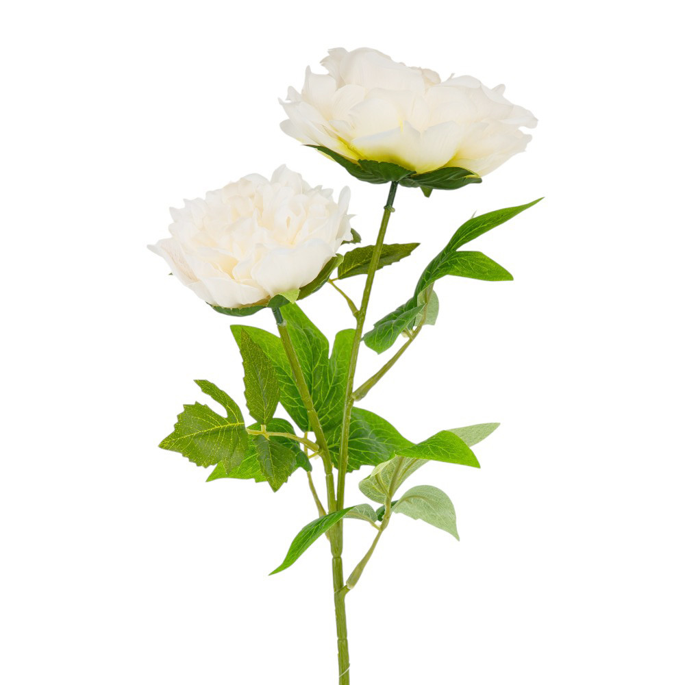 Штучна півонія, кремова, 60 см ELISEY, фото 1