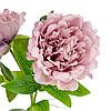 Штучна півонія, пудрово-бузковий, 60 см ELISEY, фото 2