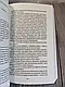 Набір 6 книг Романтична проза: "Моя темна Ванесса" (м'яка обкладинка),"Конклав","Вимикач","Панк 57", фото 4