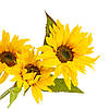 Штучний соняшник, 3 бутони, жовтий, 77 см ELISEY, фото 3