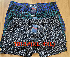 Чоловічі боксери стрейчеві з бамбука Марка "VASALL" Арт.1018