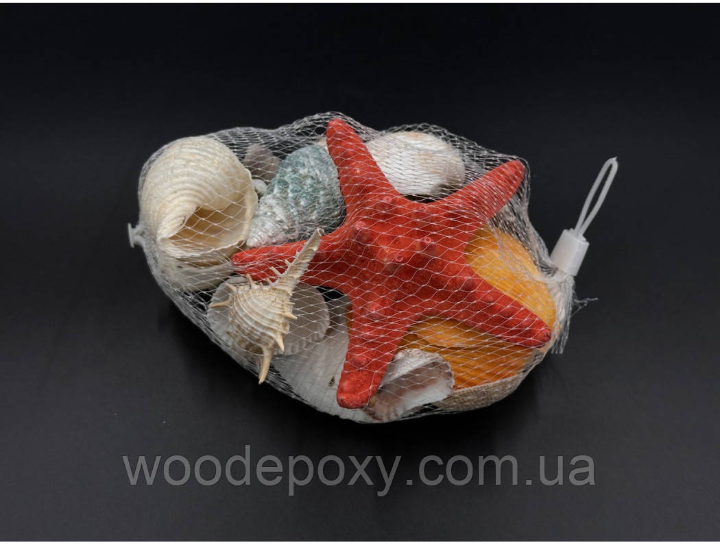 Набір морських ракушок. 400грам, фото 1