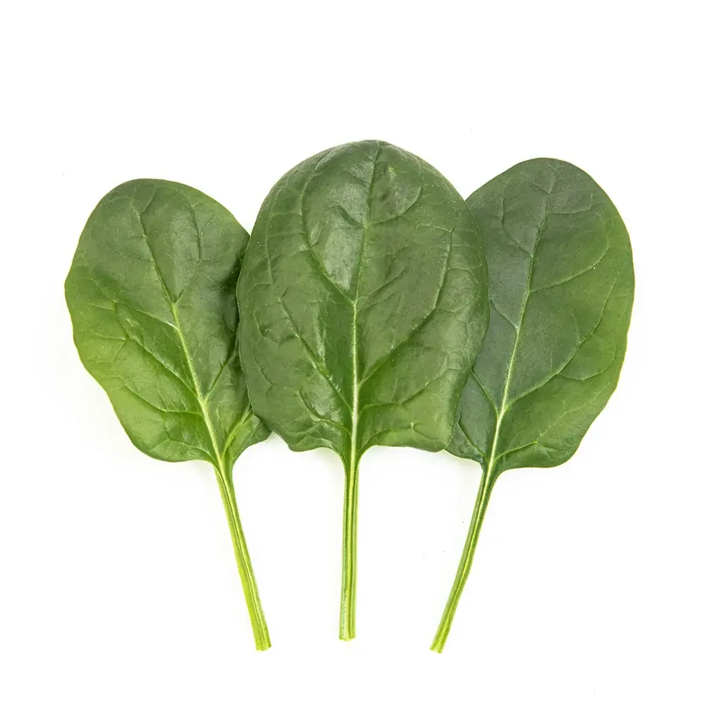 Libra Seeds шпінат Евріно F1 (ранній) 1 кг