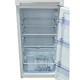 Холодильник Beko RDSA240K20W Білий DS, фото 5