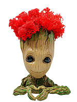 Кашпо з червоним стабілізованим мохом Грут G2