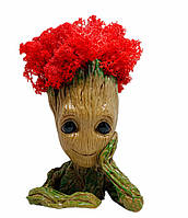 Кашпо з червоним стабілізованим мохом Грут G1