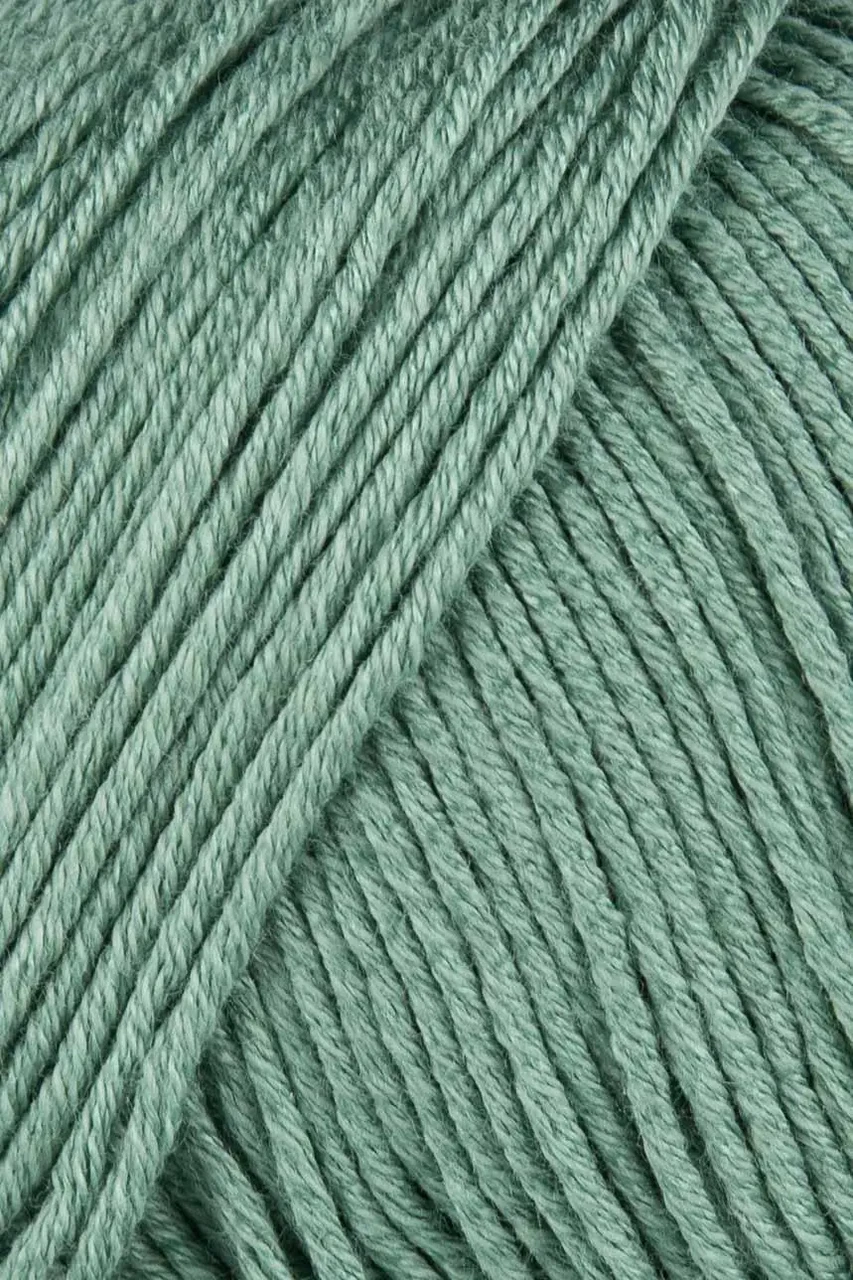 Пряжа Baby Soft/Бебі Софт, полинь 602, фото 1