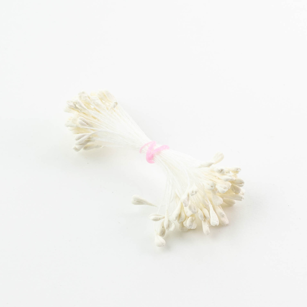 Тичинки матові з жолобком 3мм Шампань TNT003-2, фото 1