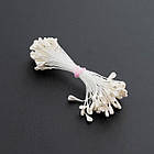 Тичинки матові з жолобком 3мм Шампань TNT003-2, фото 2