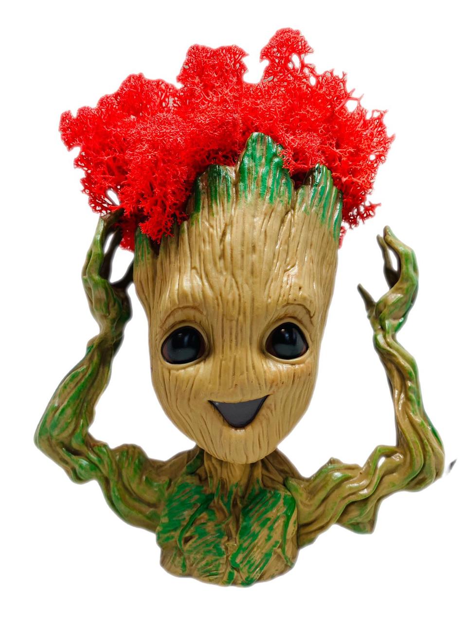 Кашпо з червоним стабілізованим мохом Грут G4