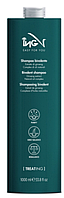 Шампунь бівалентний ING Professional Treat-ING Bivalent Shampoo 1000 мл