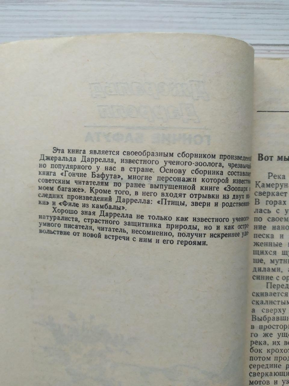 Product image preview