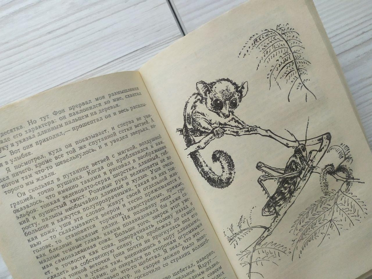 Product image preview