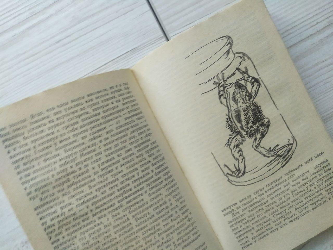 Product image preview