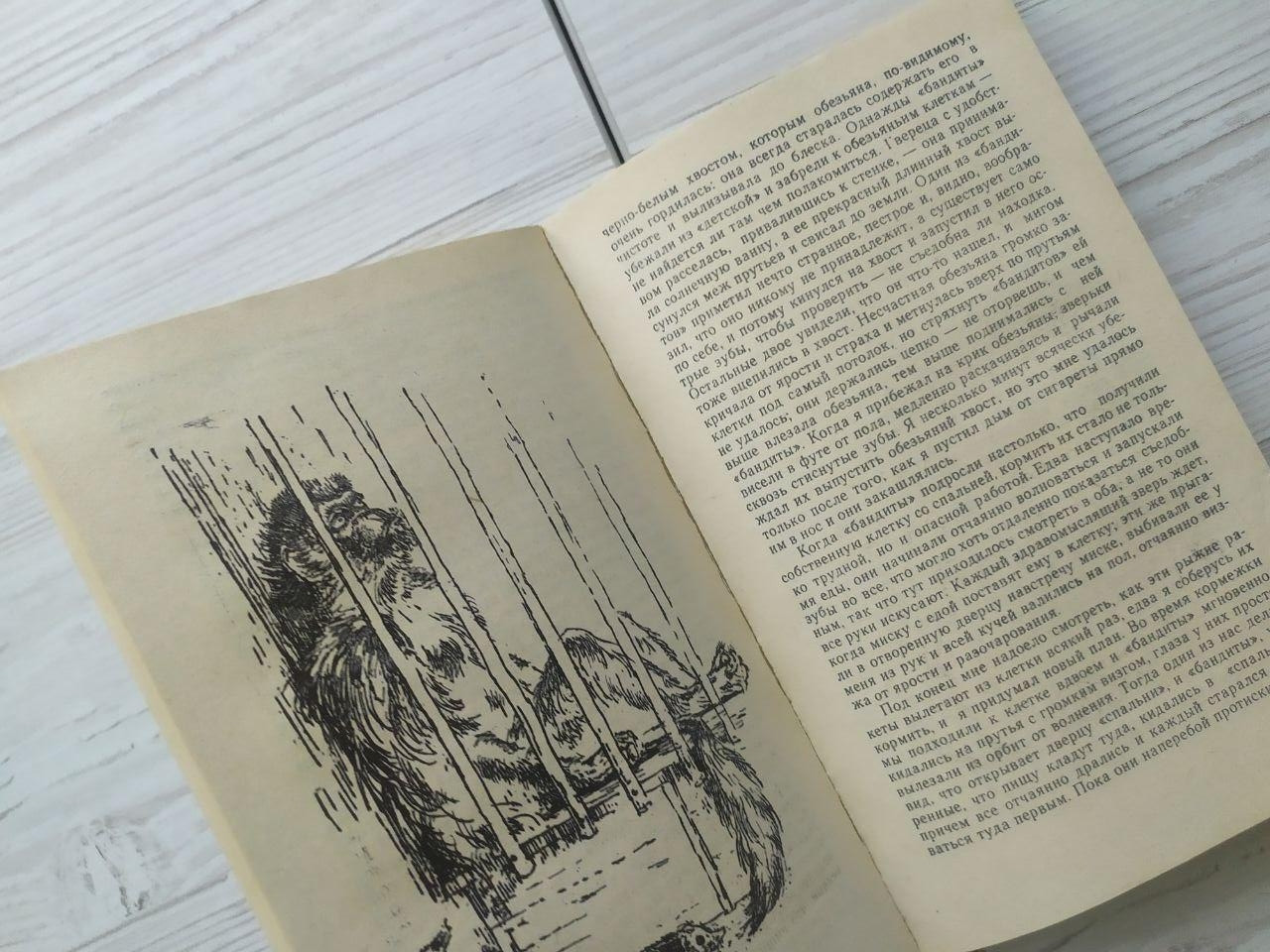 Product image preview